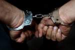 بازداشت دو خارجی مظنون به قتل توسط پلیس المان