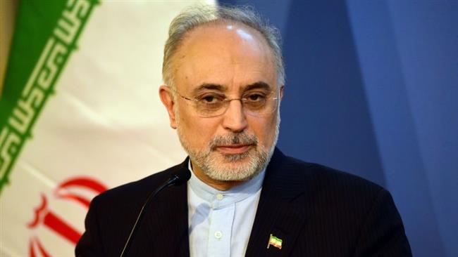 Iran establishes facility to build advanced centrifuges: nuclear chief