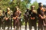 Afghan intelligence forces detain 8 key members of the Taliban and ISIS Khurasan