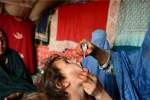 Over 6 million children to be vaccinated against polio