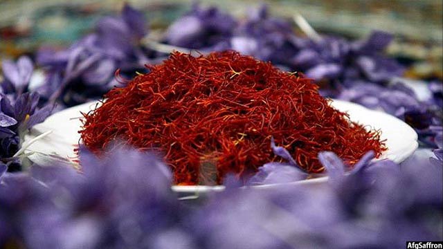 تولید زعفران افغانستان ۱۰٫۶ تُن اما صادرات ۱۵ تُن