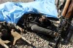 Taliban, ISIS militants mass casualties in Laghman, Kunar provinces