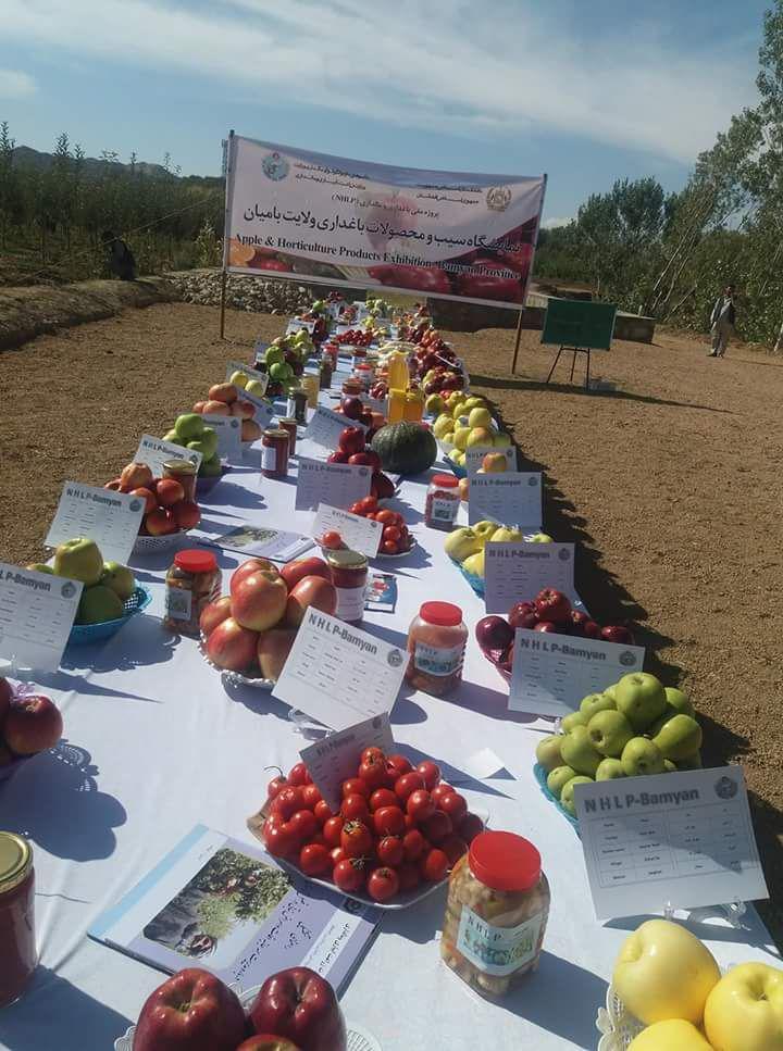 نخستین نمایشگاه سیب و محصولات باغداری در ولایت بامیان برگزار شد