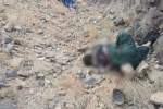 کشته و زخمی‌شدن ۸ عضو طالبان در هرات