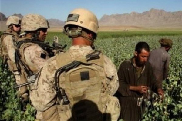 افزایش تولید مواد مخدر ارمغان حضور امریکا در افغانستان