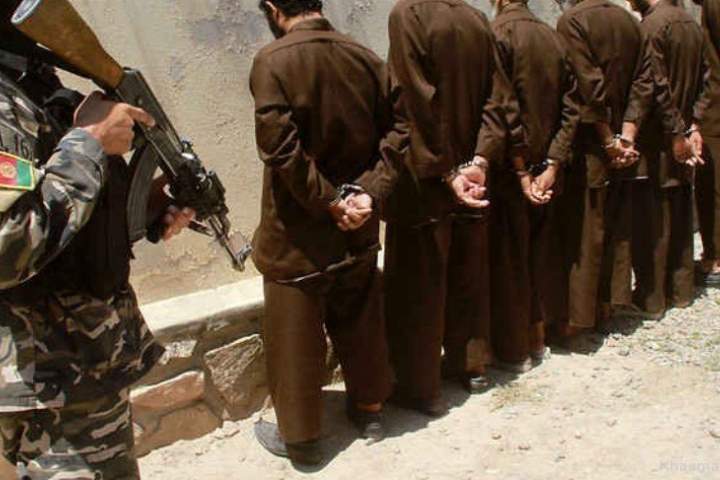 په هرات کې د طالبانو، تروریستی ډلو او خلافکارو ۱۰ تنه غړیو نیول کیدنه