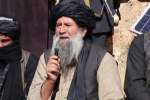 طالبان شاخه ملا رسول: نشست مسکو، دروغین بود