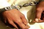 بازداشت ۴ نفر به اتهام قاچاق مواد مخدر در کابل