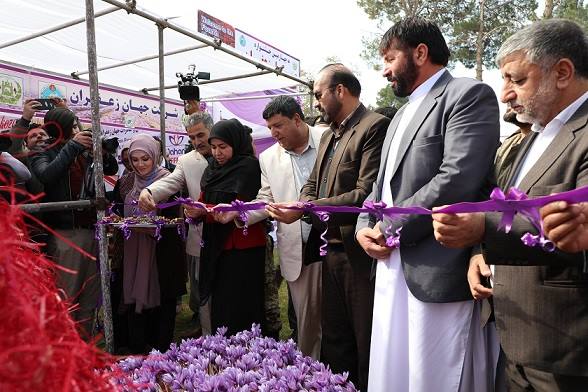 Fourth National Festival of Saffron Flower Held in Herat