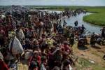 Crisis Group urges halt to forced Rohingya repatriation