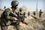 Afghan fighting claims over 50 lives in 24 hours
