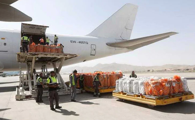 Feature: China-Afghanistan air corridor offers new opportunities for pine nut business