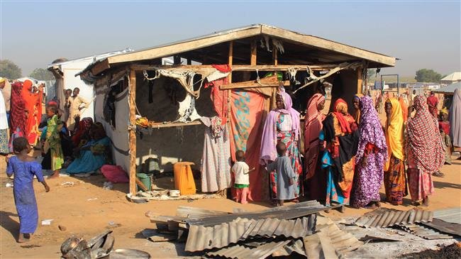 Boko Haram raids Nigerien villages, abducts dozen girls
