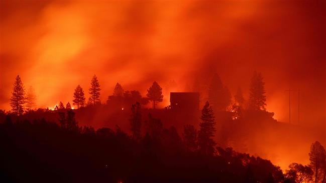 Climate change will hit US economy and kill thousands: Report