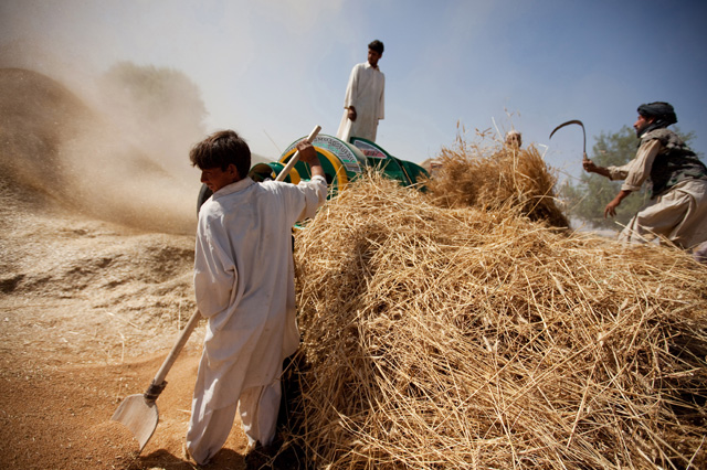 FAO warns about drought in Afghanistan