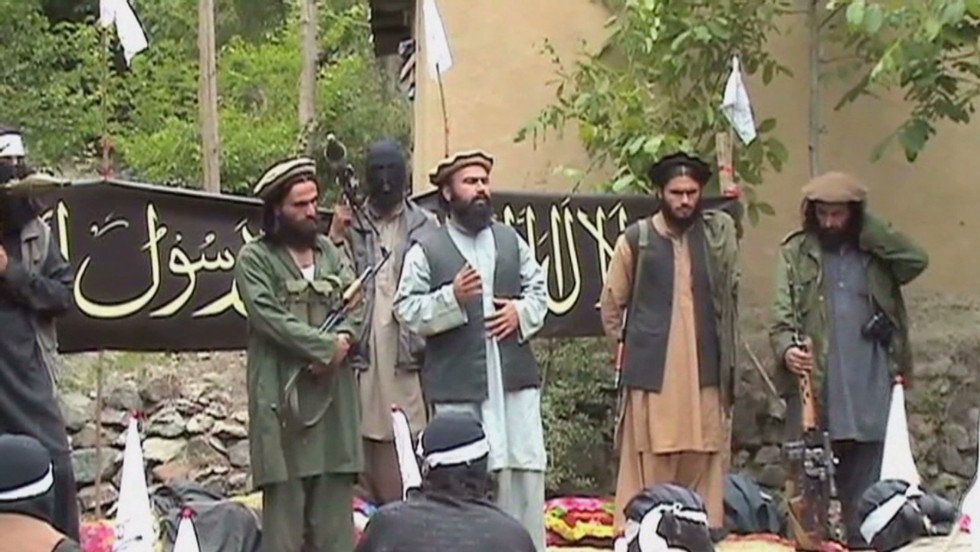 Taliban being utilized by Pakistan as a hedge against India: US official