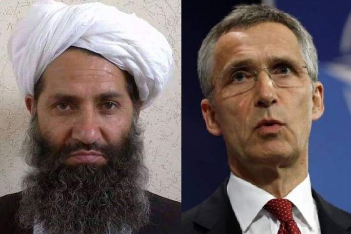 ناتو و طالبان؛ خیلی دور، خیلی نزدیک