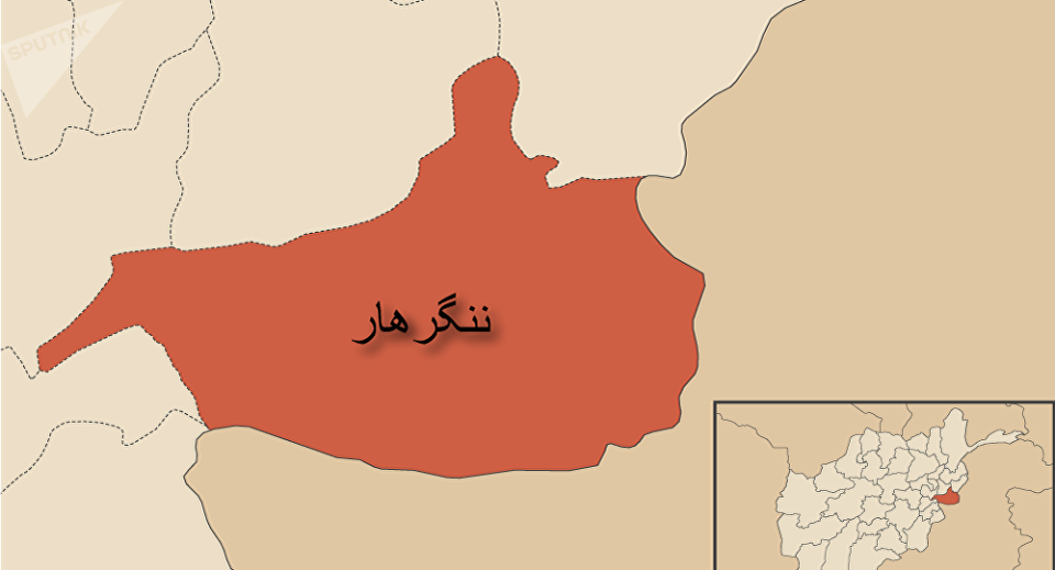 مسوول گروه داعش در ولسوالی «بتی‌کوت» ننگرهار کشته شد