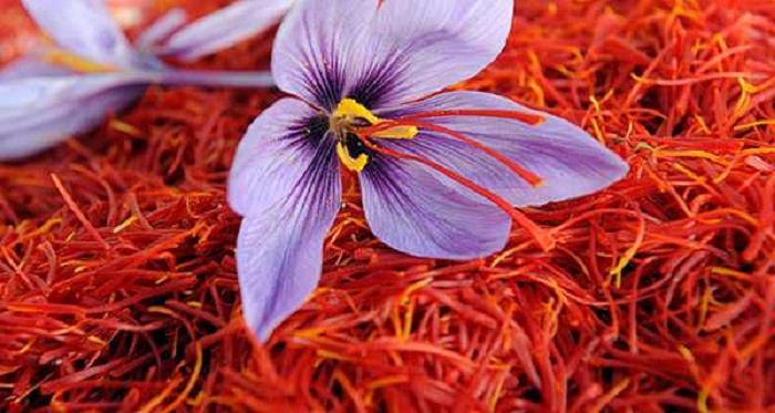Turkey to Buy 300Kg of Afghan Saffron