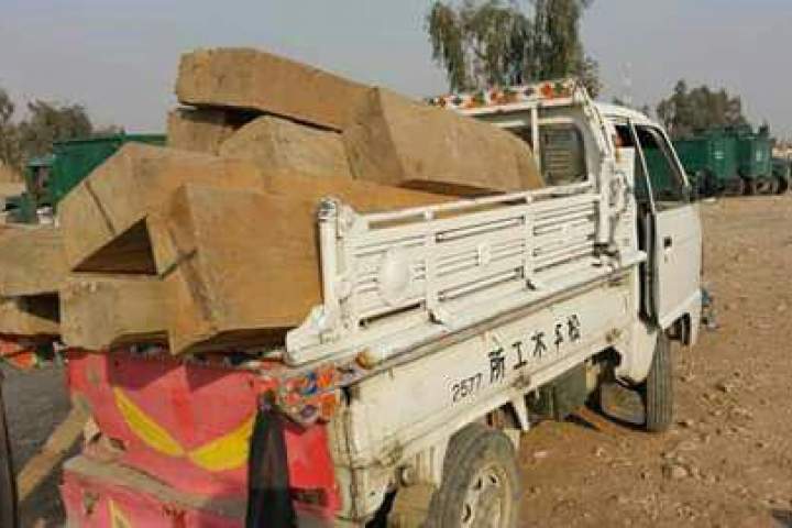 جلوگیری از قاچاق چوب چهارتراش به پاکستان در ننگرهار