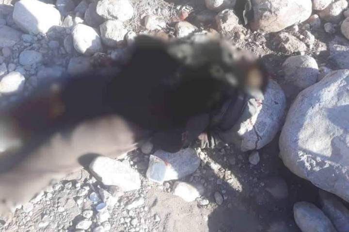 سه فرمانده کلیدی طالبان در ولایت بغلان همراه با 25 تن از افرادشان کشته شدند