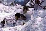 هشت تن در اثر برف کوچ در ولسوالی راغستان بدخشان جان باختند