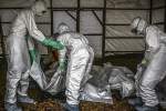 Death toll from Ebola in DR Congo climbs to 370