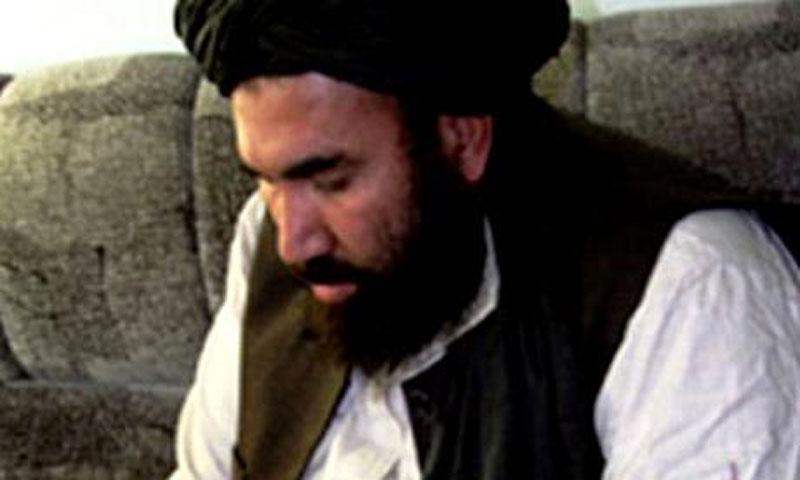 This Man Is Revered Among the Taliban. Can He End the Afghan War?