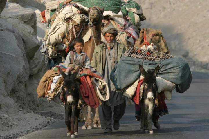 زندگی کوچی‌‌گری در افغانستان در حال کمرنگ شدن است