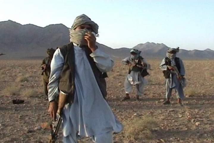 کشته شدن ۸ طالب مسلح در ولسوالی پشتون زرغون هرات