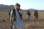 کشته شدن ۸ طالب مسلح در ولسوالی پشتون زرغون هرات