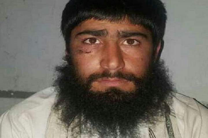 بازداشت ولسوال نام‌نهاد طالبان برای ولسوالی شهرصفای زابل در قندهار
