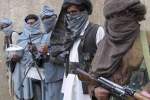 په فاریاب کې ۳۵ تنه مسلح طالبان ژوبل شوی