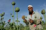 The U.S. Sent Its Most Advanced Fighter Jets to Blow Up Cheap Opium Labs. Now It