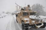 Afghan forces kill over 80 Taliban commanders in winter offensive