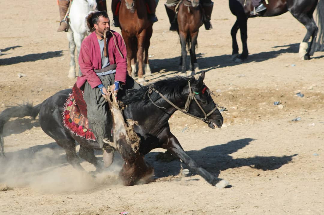 فرهنگ مسابقه بزکشی متعلق به افغانستان است.