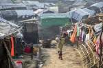 China offers cash to lure Rohingya refugees to Myanmar