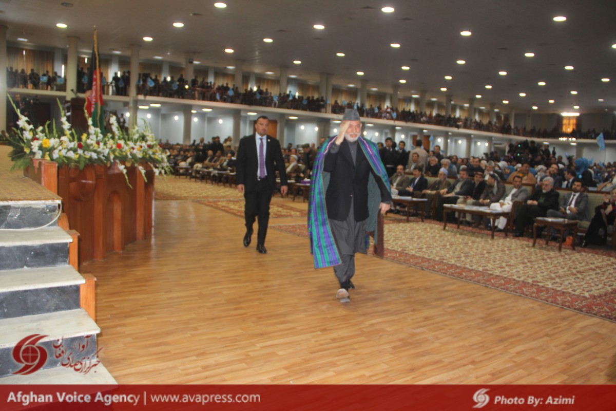 Karzai lends support to ongoing peace efforts