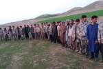 دستگیری ده‌ها تن از نیروهای امنیتی توسط طالبان واقعیت ندارد