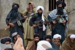 طالبان خرید و فروش مواد غذایی در ولسوالی پاتوی دایکندی را منع کرده است