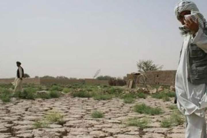 خسارت جبران ناپذیر خشکسالی و سیلاب ها به زراعت و مالداری در نیمروز