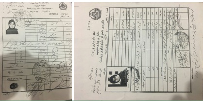 بازداشت یک جاعل اسناد در شهر هرات
