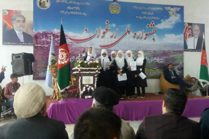 برگزاری جشنواره ملی گل ارغوان در پروان