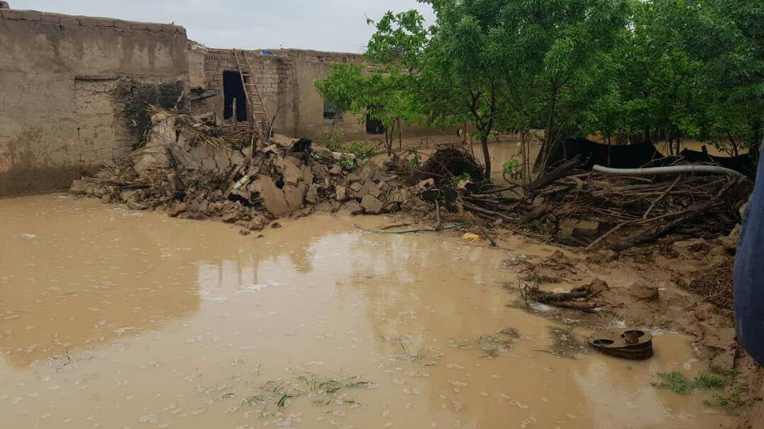 ناپدید شدن یک موتر با ۱۷ سرنشین آن در سیلاب هرات