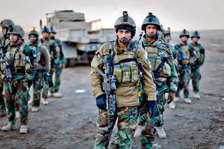 Afghan forces kill 12 militants in eastern Ghazni province