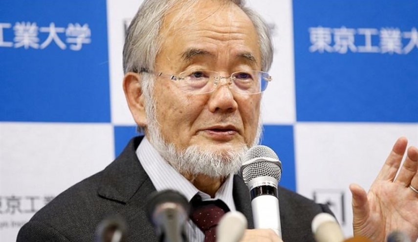 کشف دانشمند جاپانی ؛ "روزه‌داری" باعث از بین رفتن حجرات معیوب و سرطانی