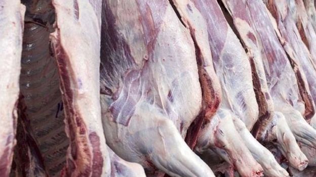 جلوگیری از قاچاق بیش از ۸ هزار کیلوگرم گوشت به خارج از کشور در هرات