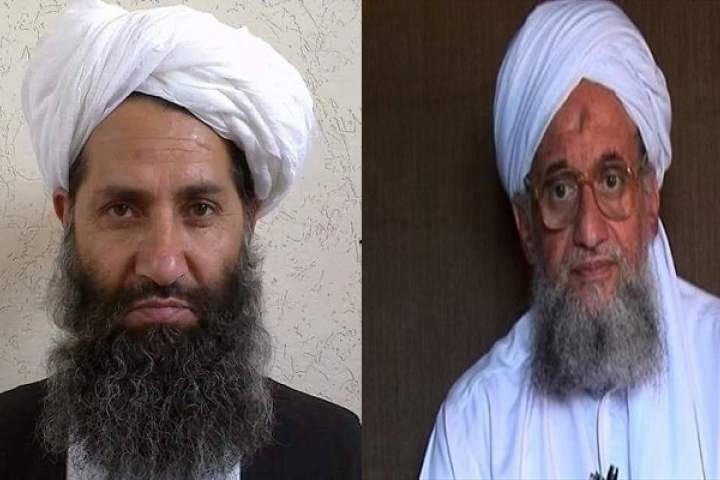 احتمال قطع رابطه بین القاعده و طالبان بعید به نظر می‌رسد
