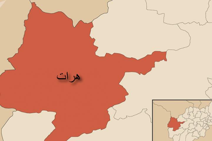 درگیری میان نیروهای امنیتی و طالبان در ولسوالی پشتون‌زرغون هرات/ طالبان مسافرین دو موتر فلانکوچ را ربودند