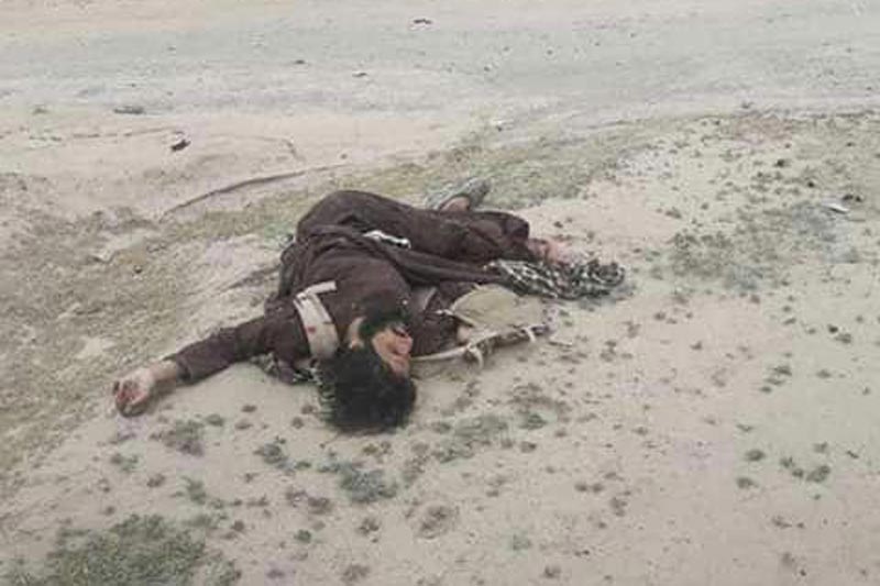 کشته شدن مسئول حملات چریکی طالبان در قرباغ غزنی